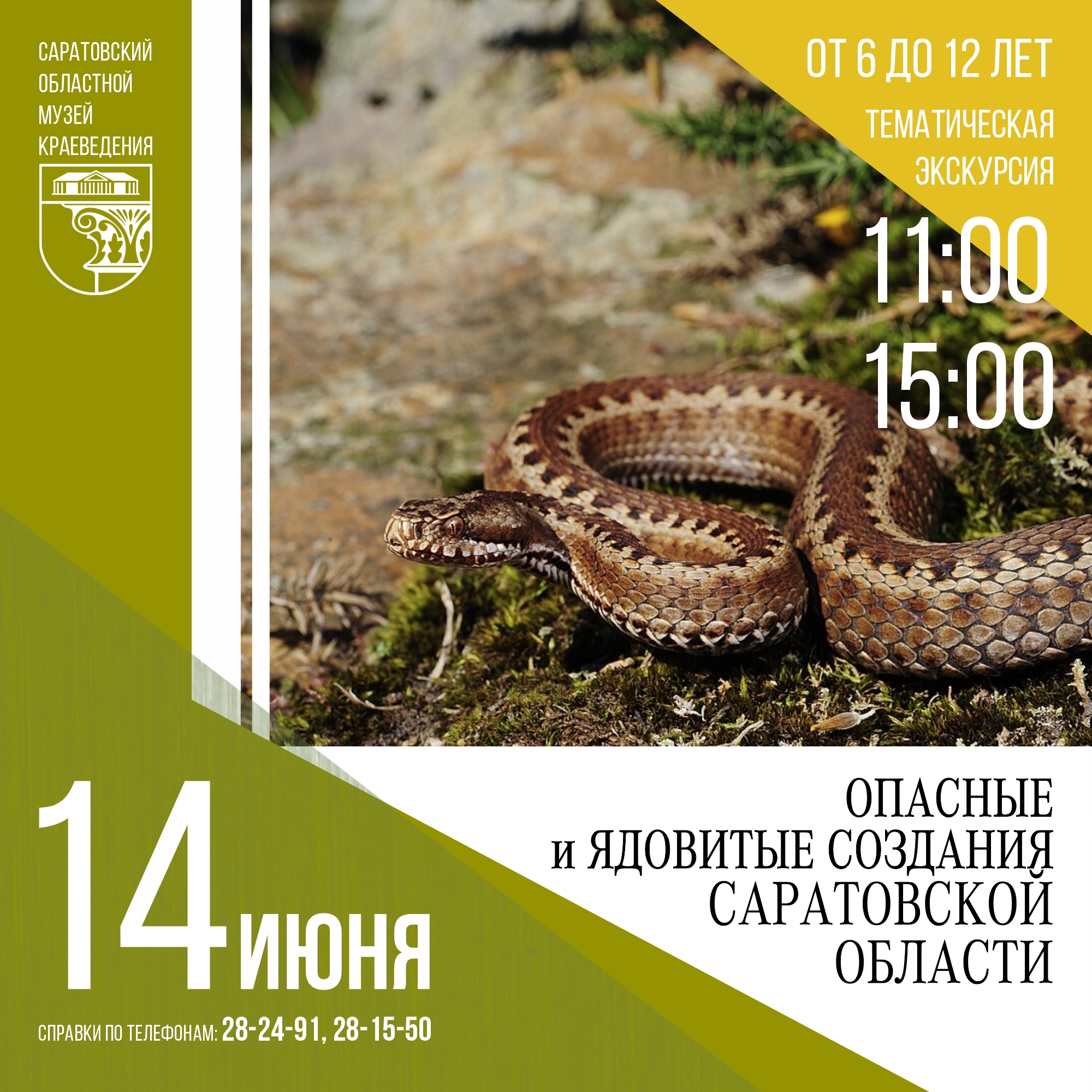 Экскурсия &#171;Опасные и ядовитые создания Саратовской области&#187;