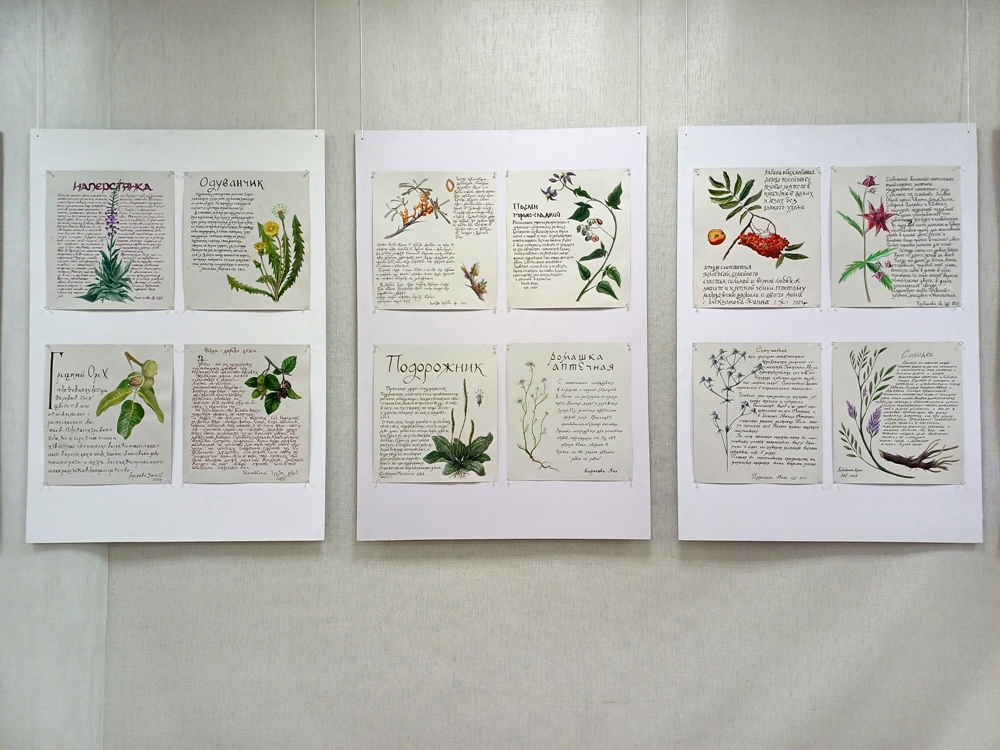 Выставка &#171;Ботаническая азбука&#187;