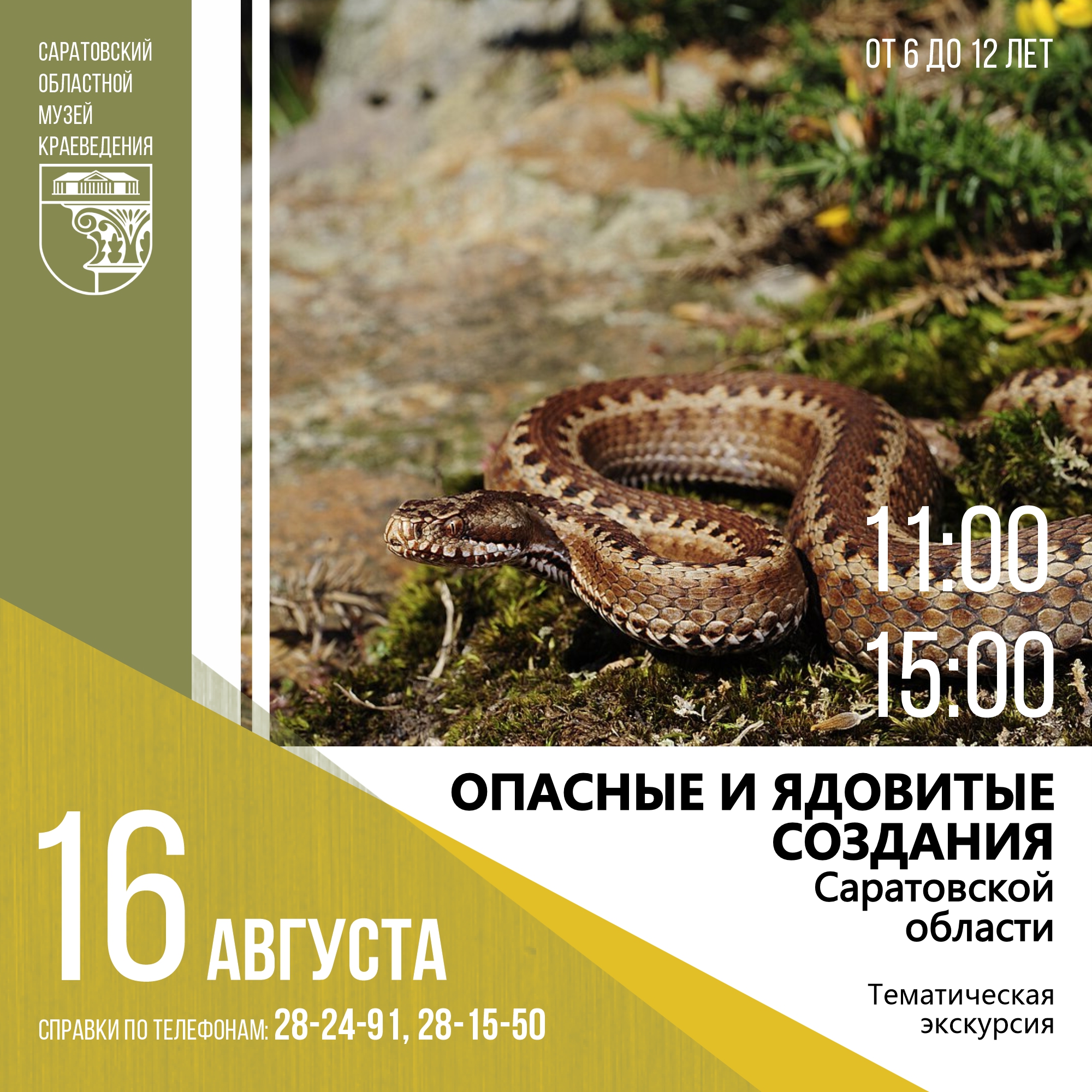 Экскурсия &#171;Опасные и ядовитые создания Саратовской области&#187;